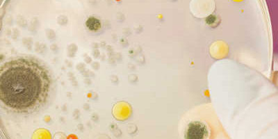 Erneuerung unserer Hygienezertifizierung